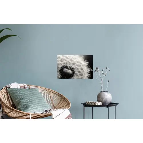 Paardenbloem - Zwart - Wit Muursticker klein -plant