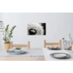 Paardenbloem - Zwart - Wit Muursticker klein -eettafel