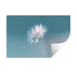 Paardenbloempluisje - Blauw - Lucht Muursticker klein -3d