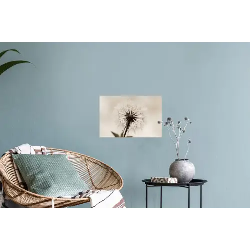 Paardenbloem - Minimalistisch - Wit Muursticker klein -plant