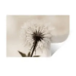 Paardenbloem - Minimalistisch - Wit Muursticker klein -3d