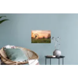 Paardenbloem - Zonsondergang - Veld Muursticker klein -plant
