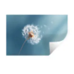 Paardenbloem - Wind - Blauw Muursticker klein -3d