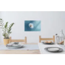 Paardenbloem - Wind - Blauw Muursticker klein -eettafel