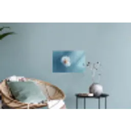 Paardenbloem - Wind - Blauw Muursticker klein -plant