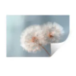 Paardenbloemen - Pluisjes - Wit Muursticker klein -3d