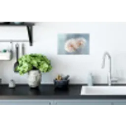 Paardenbloemen - Pluisjes - Wit Muursticker klein -keuken