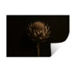 Donkerbruin - Bloem - Textuur - Artisjok Muursticker klein -3d