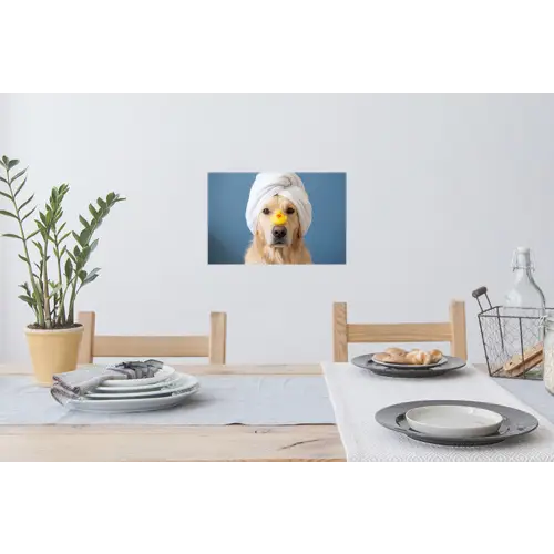 Hond - Badeend - Geel Muursticker klein -eettafel