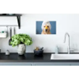 Hond - Badeend - Geel Muursticker klein -keuken