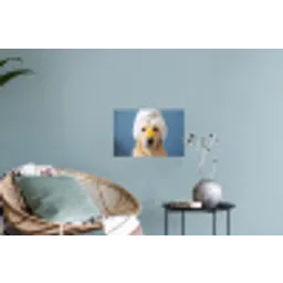 Hond - Badeend - Geel Muursticker klein -plant
