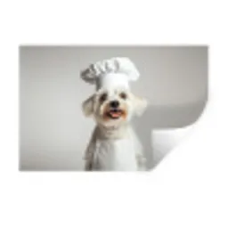 Hond - Wit - Kok Muursticker klein -3d