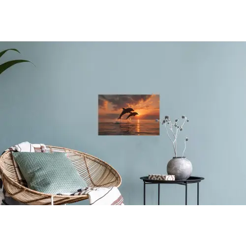Dolfijnen - Zee - Realistisch Muursticker klein -plant