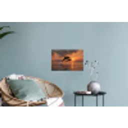 Dolfijnen - Zee - Realistisch Muursticker klein -plant