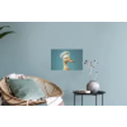 Eend - Koksmuts - Cute - Vogel Muursticker klein -plant