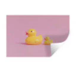 Eendjes - Vrolijk - Roze Muursticker klein -3d