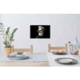 Arend -Amerika - Koksmuts - Vogel - Stoer Muursticker klein -eettafel