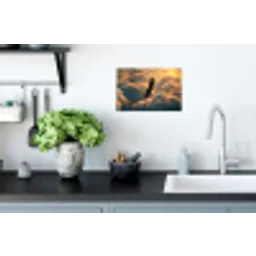 Adelaar - Wolken - Zon Muursticker klein -keuken