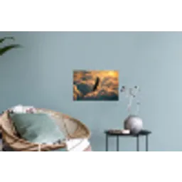 Adelaar - Wolken - Zon Muursticker klein -plant
