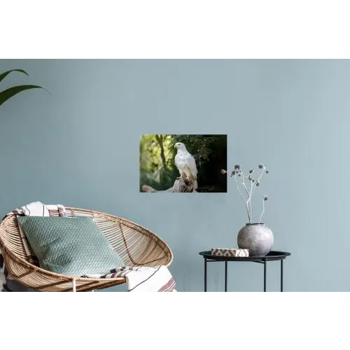 Arend - Hout - Wit - Planten Muursticker klein -plant