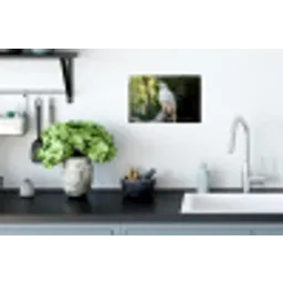 Arend - Hout - Wit - Planten Muursticker klein -keuken