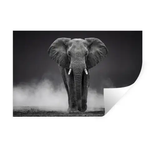 Olifant - Zwart - Wit - Rook Muursticker klein -3d