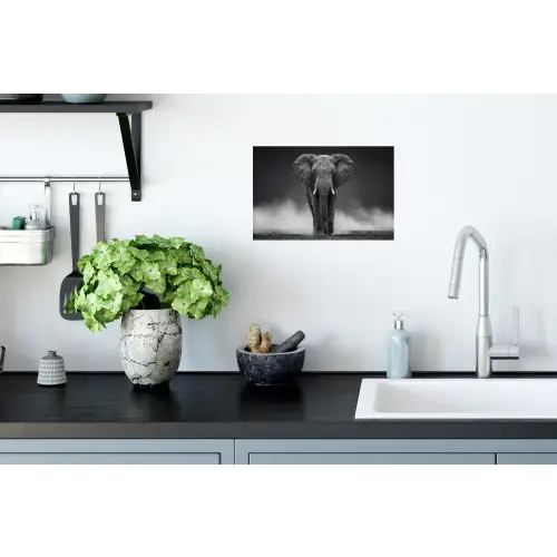 Olifant - Zwart - Wit - Rook Muursticker klein -keuken