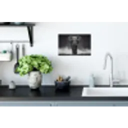 Olifant - Zwart - Wit - Rook Muursticker klein -keuken