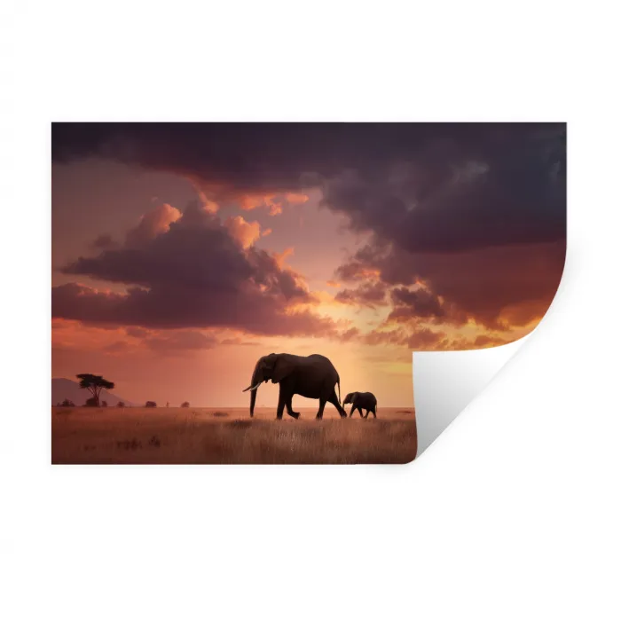 Olifanten - Grasland - Zonsondergang Muursticker klein -3d