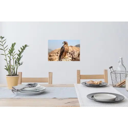 Valk - Vogel - Rots - Macht Muursticker klein -eettafel