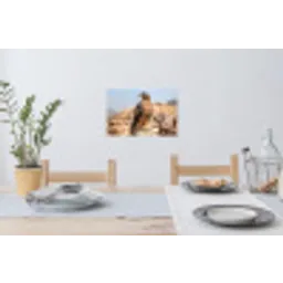 Valk - Vogel - Rots - Macht Muursticker klein -eettafel