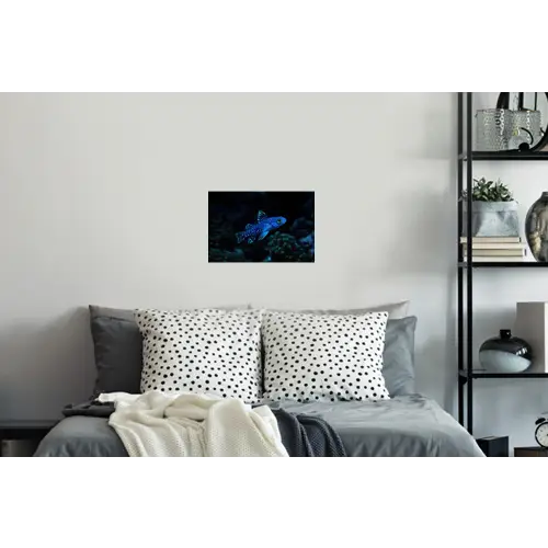 Vis - Stippen - Koraal - Blauw Muursticker klein -slaapkamer