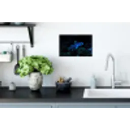 Vis - Stippen - Koraal - Blauw Muursticker klein -keuken