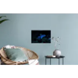 Vis - Stippen - Koraal - Blauw Muursticker klein -plant