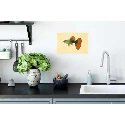 Vis - illustratie - Stippen - Oranje Muursticker klein -keuken