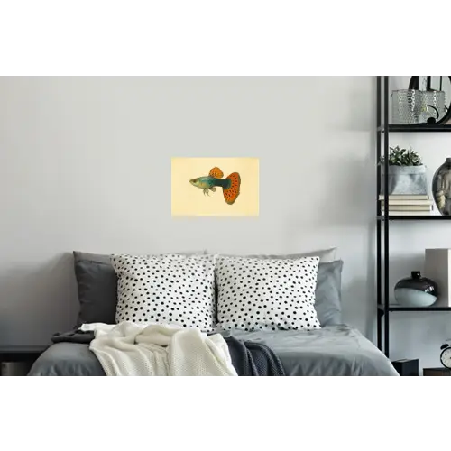 Vis - illustratie - Stippen - Oranje Muursticker klein -slaapkamer