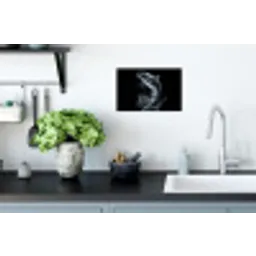 Vis - Koi - Zwart - Water Muursticker klein -keuken