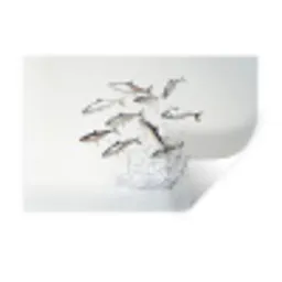 Vissen - Water - Wit Muursticker klein -3d