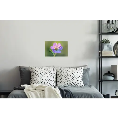 Bloem - Close up - Paars Muursticker klein -slaapkamer