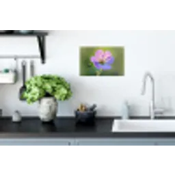 Bloem - Close up - Paars Muursticker klein -keuken