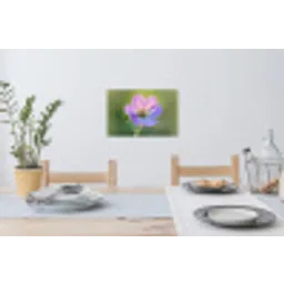 Bloem - Close up - Paars Muursticker klein -eettafel