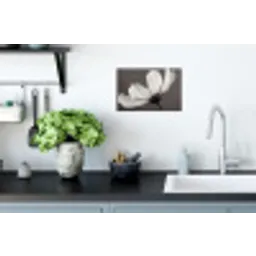Bloem - Minimalistisch - Zwart - Wit Muursticker klein -keuken