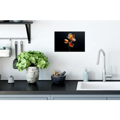 Bloem - Orchidee - Oranje Muursticker klein -keuken