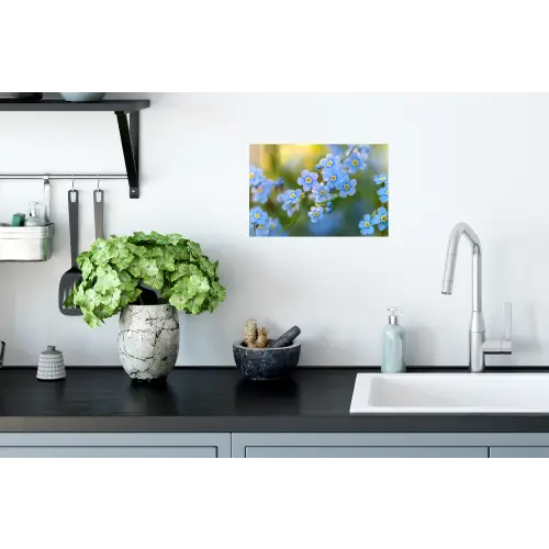 Bloemetjes - Blauw - Vergeet mij nietjes Muursticker klein -keuken