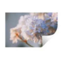 Bloemen - Lichtblauw - Wazig - Trosje Muursticker klein -3d
