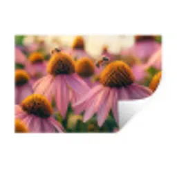 Bloemen - Paars - Bijen Muursticker klein -3d