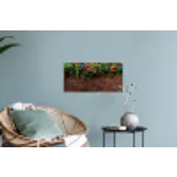 Bloemen - Muur - Groen - Oranje Muursticker klein -plant