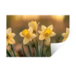 Bloemen - Geel - Wazig Muursticker klein -3d