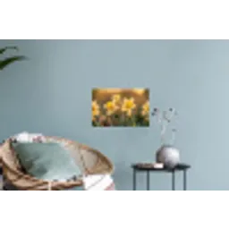 Bloemen - Geel - Wazig Muursticker klein -plant