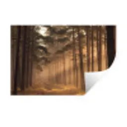Bos - Mist - Zonlicht Muursticker klein -3d